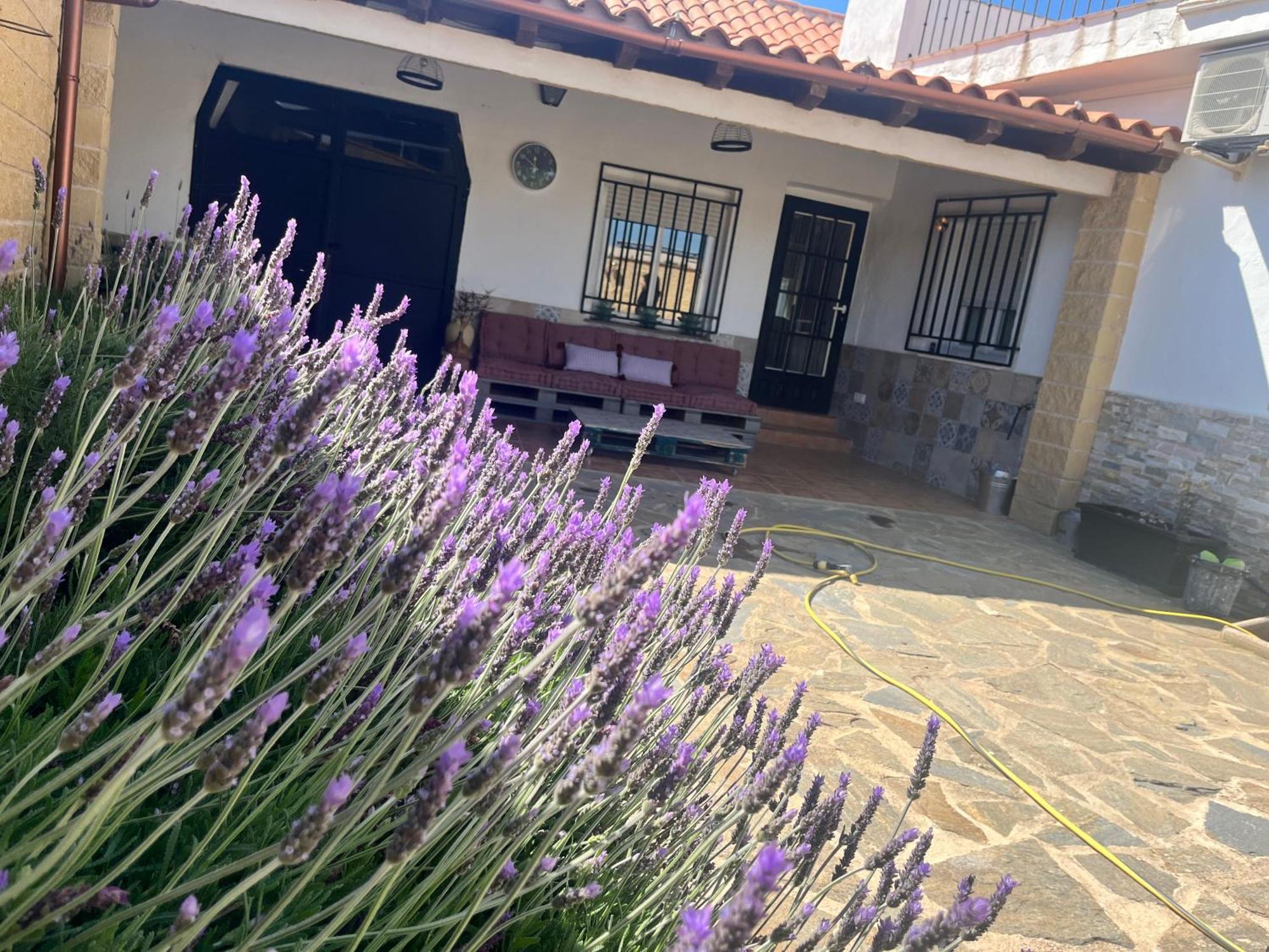 Valentina Apartment *